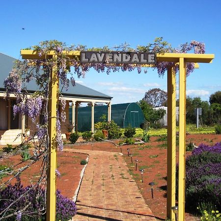 Lavendale Country Retreat Villa York Bagian luar foto